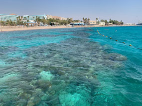 Coral reefs at Coral Reef Nature Preserve