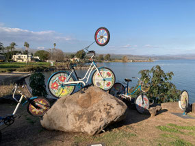 Artsy bicycles with mosaic wheels