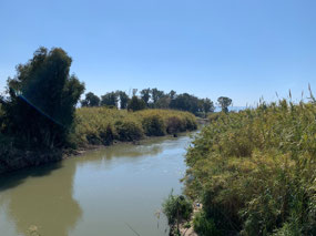 Jordan River where it enters Sea of Gailee