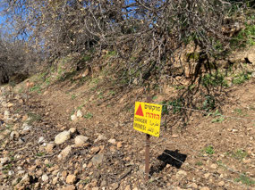 More effective than No Trespassing