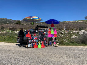 We saw a lot of these on the way past Mt. Hermon