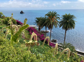 Along the Promenade