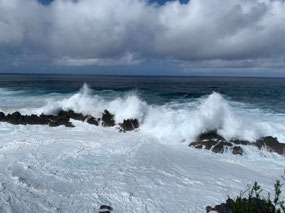 Surf's up in Porto Moniz