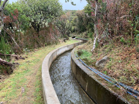 Along the modern levada
