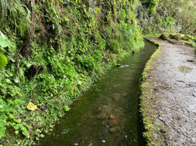 Old school levada