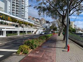 Walking down Estrada Monumental