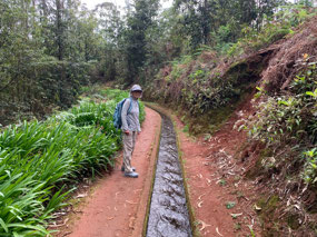 Levada do Rei