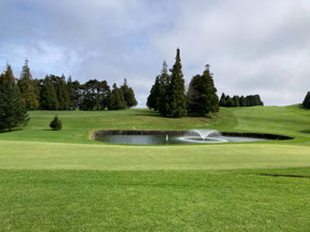 Nice green, just miss the water