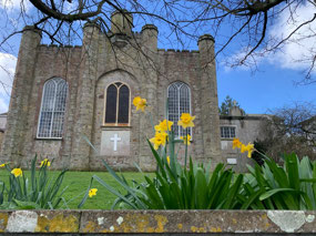 Daffodils are definitely in season