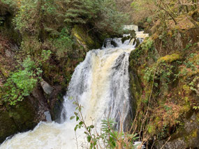 Power of the falls