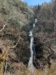 The falls