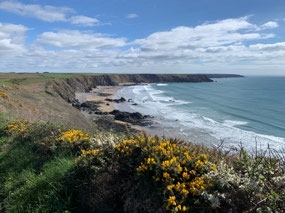 Beach in view, scenery awesome