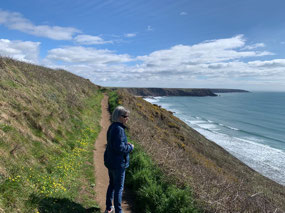 Trail to the beach