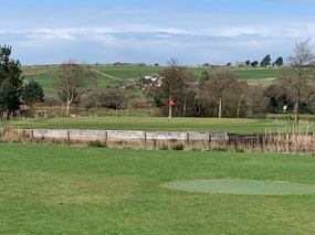 Yes, that is two tee shots on the island green