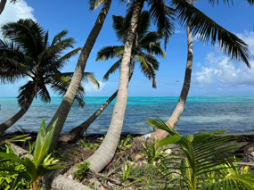 Paradise