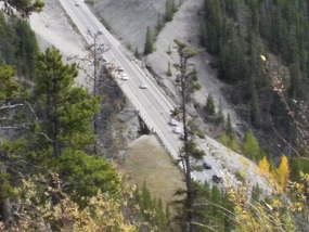 Deer on the Bridge