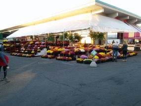 Flowers galore!