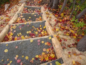 Beauty Underfoot!