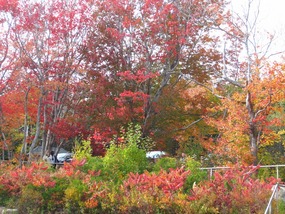 How about this for a parking lot?!!