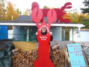 They Come Big in Maine