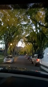 Beautiful Neighborhood