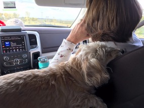 Roxie relaxing between her dad and mom