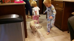 Grandkids and Roxie playing "tag".