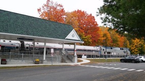 Train and Trees 
