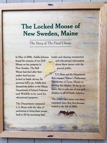 The Story of the the Locked Moose