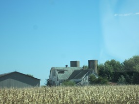 End of the corn season