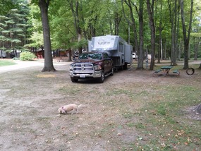 Roxie explores while David sets up camp