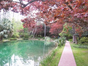Black Pond in the Maclay State Gardens