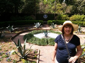 In the garden with the Rose of Sharon