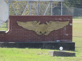 Naval Air Insignia