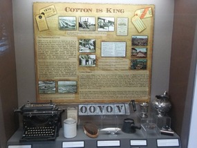 Cotton is King