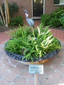 The original fishpond at the Ashton Mansion