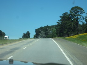 Eastern Texas has rolling hills and green foliage