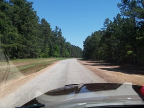 Nice road leading from highway to the lake.