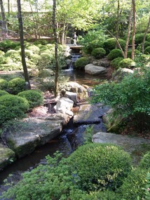 Stream running through the Garvan Woodland Garden