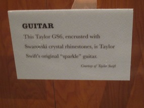 Swift's Taylor GS6