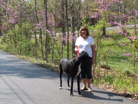 Walking Dejlige (die-lee) on great spring morning.
