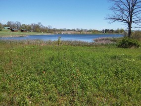 Half way around the lake