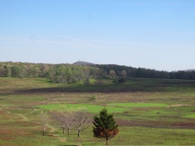 View of  "Big Meadow"