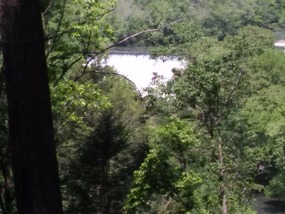 Roanoke River between the trees!