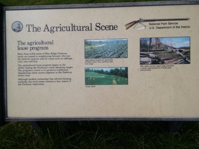 Agricultural Leasing Program - farming