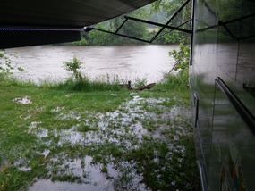 French Broad River just below flood stage