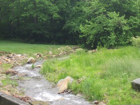 Stream running through The Cove