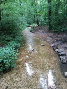Stream created by the spring