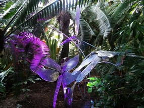 Dance of the Dragonflies