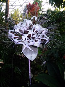 12ft stainless steel leaves with 30 white flowers